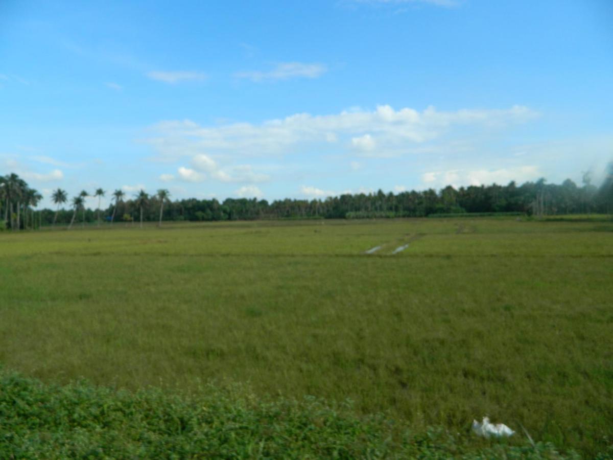 Zamaraya Bed & Breakfast Angamaly Exterior photo